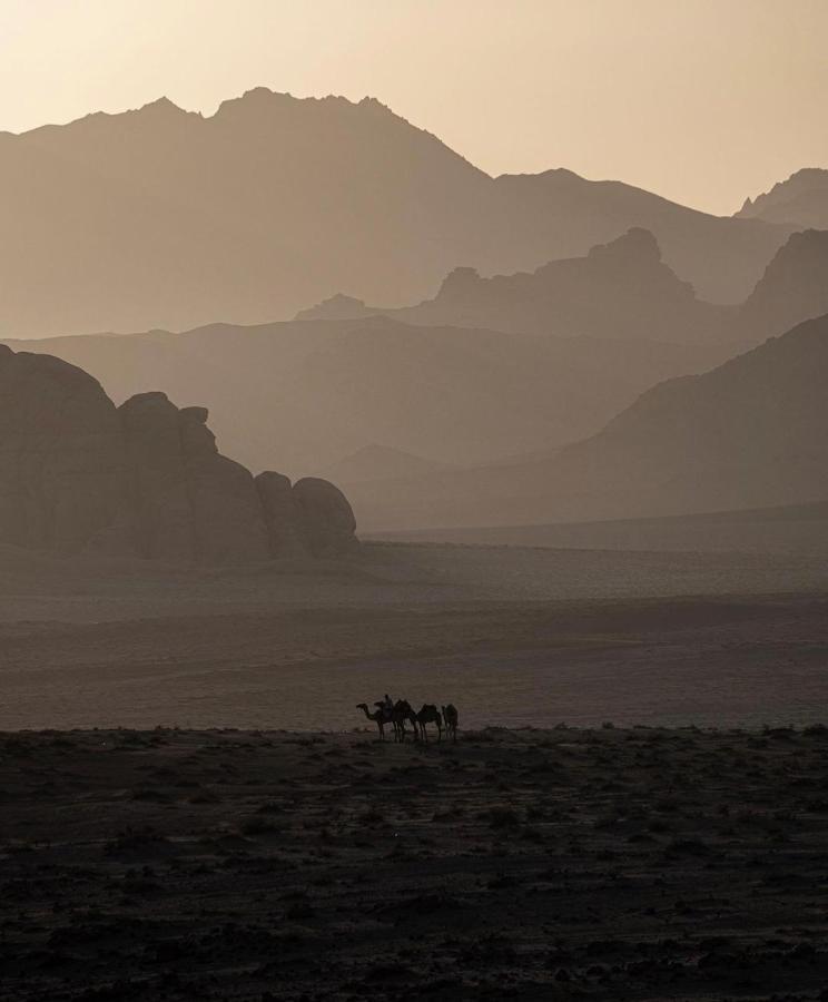 Wadirum Zeid Camp&Tours วาดิรัม ภายนอก รูปภาพ