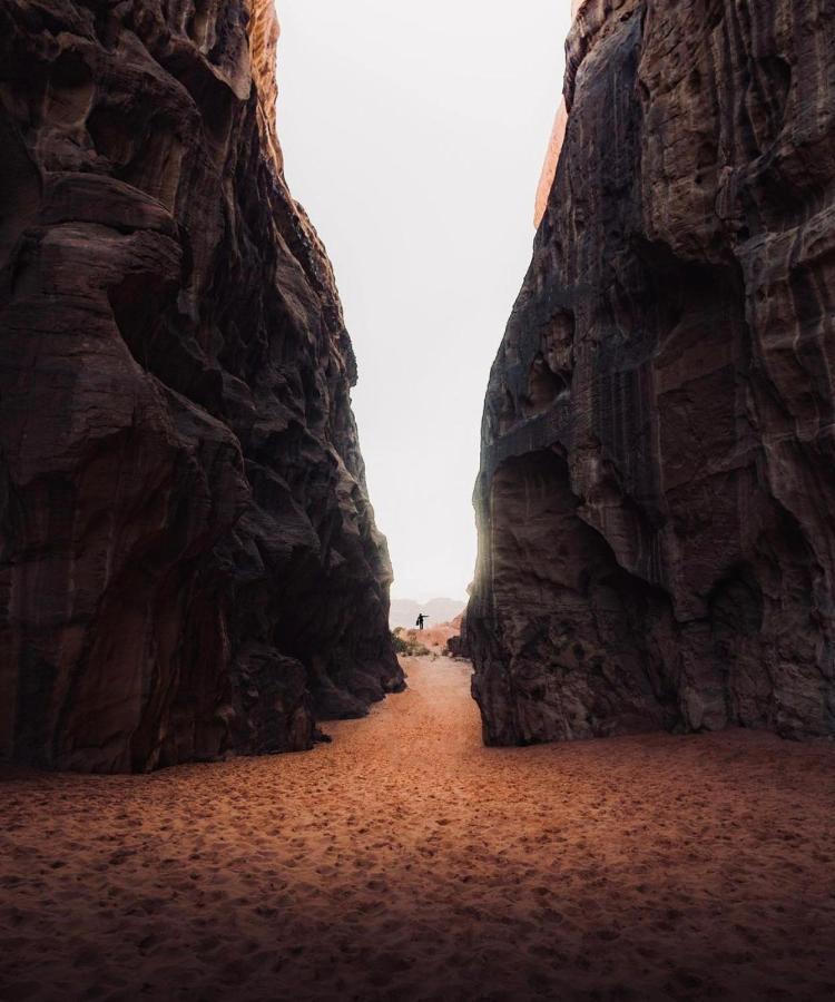 Wadirum Zeid Camp&Tours วาดิรัม ภายนอก รูปภาพ