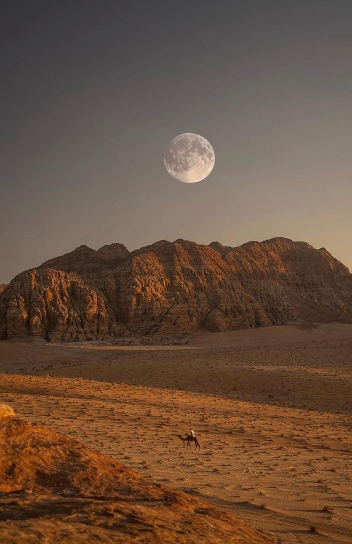 Wadirum Zeid Camp&Tours วาดิรัม ภายนอก รูปภาพ
