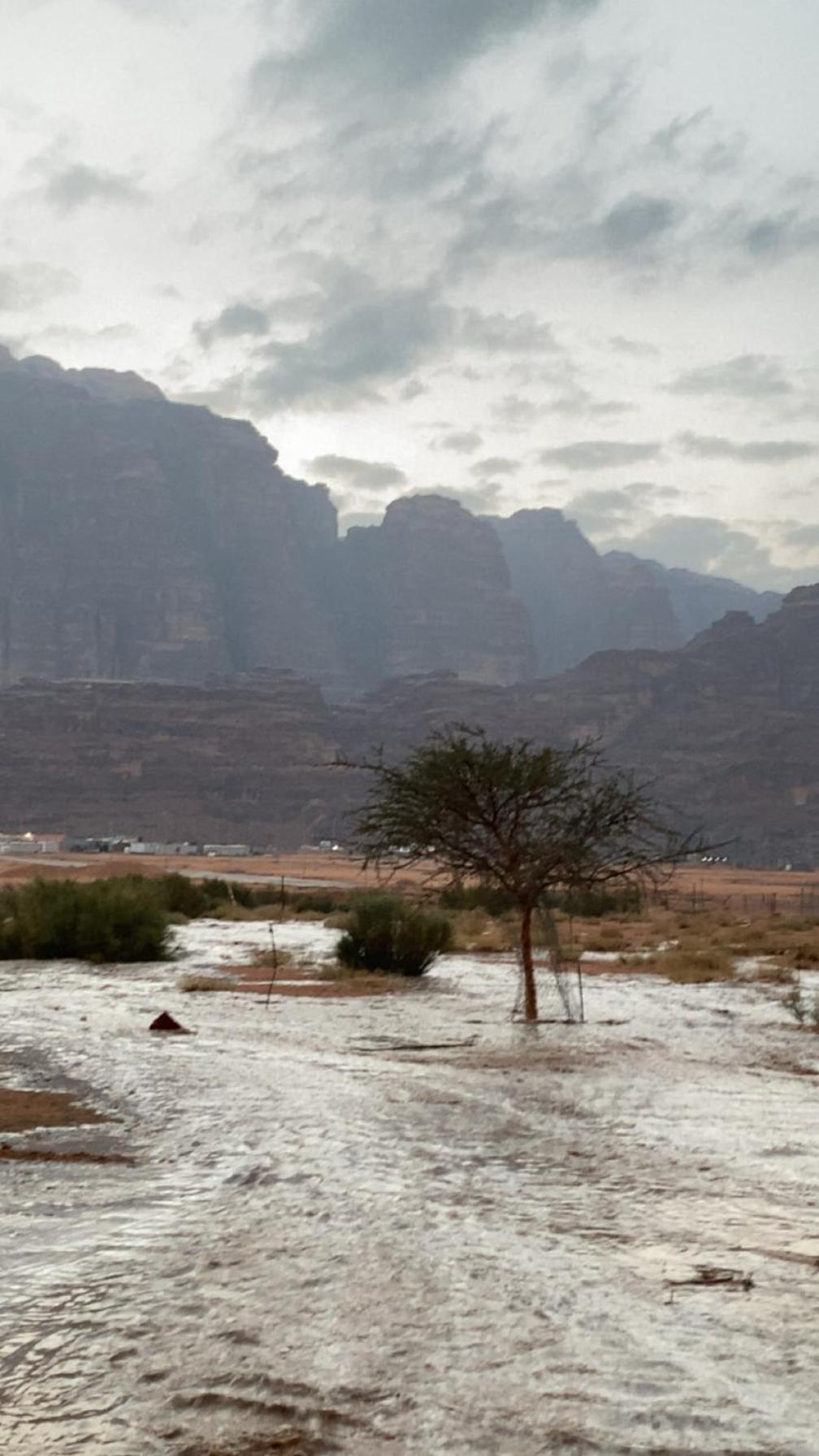 Wadirum Zeid Camp&Tours วาดิรัม ภายนอก รูปภาพ