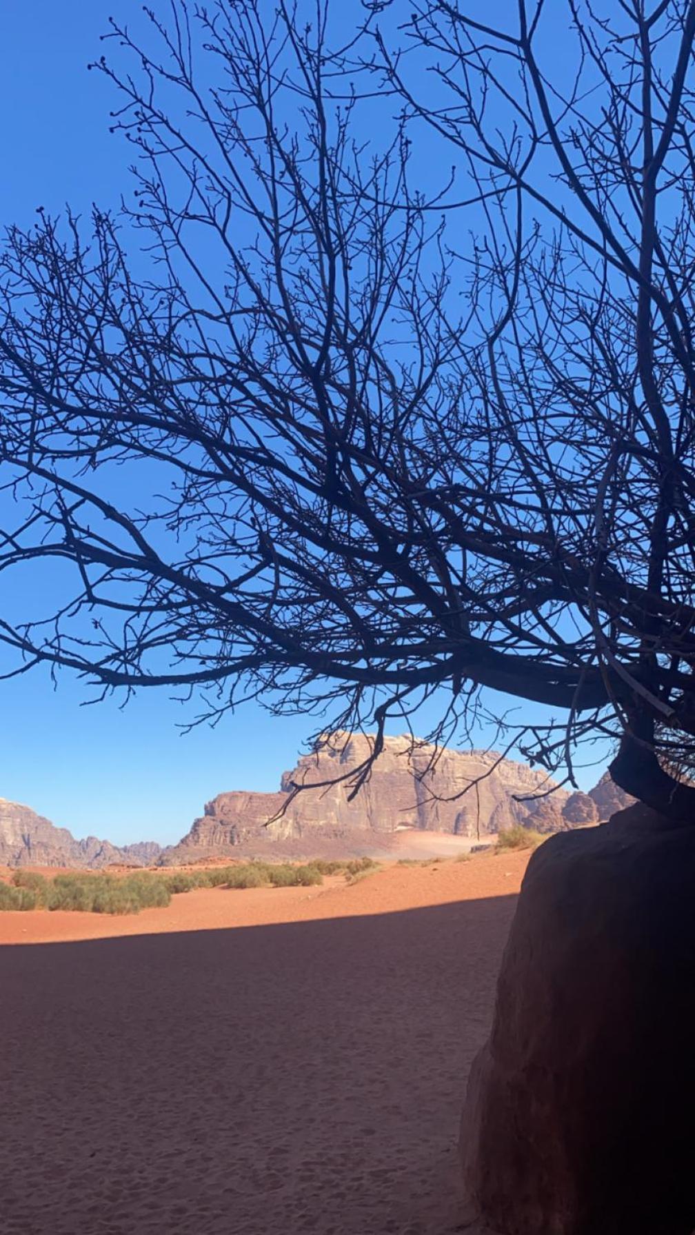 Wadirum Zeid Camp&Tours วาดิรัม ภายนอก รูปภาพ